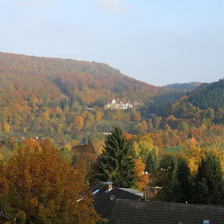 Neuenfels 3* Badenweiler